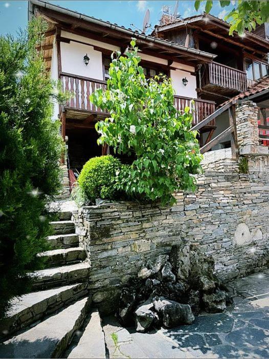 Sharkov Guest House Dolen  エクステリア 写真