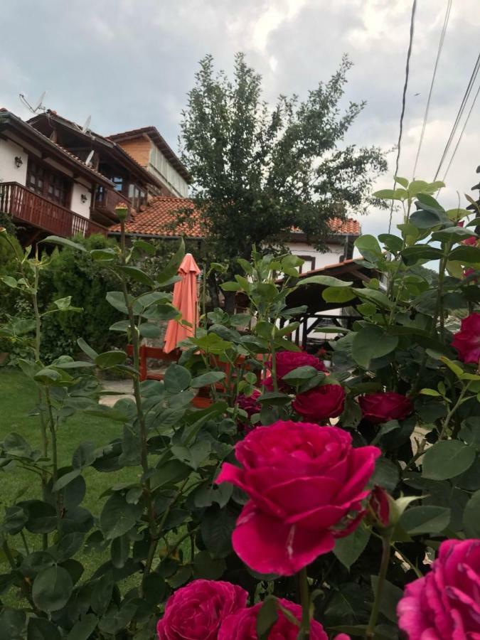 Sharkov Guest House Dolen  エクステリア 写真